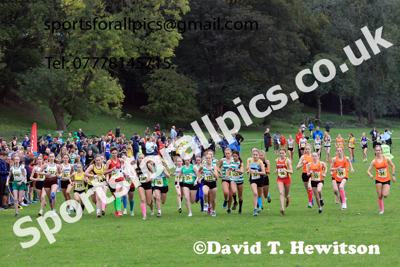 Girls Under-15s 2025 Start Fitness NEHL, Thornley Hall Farm, Peterlee, County Durham. Photo: David T. Hewitson/Sports for All Pics